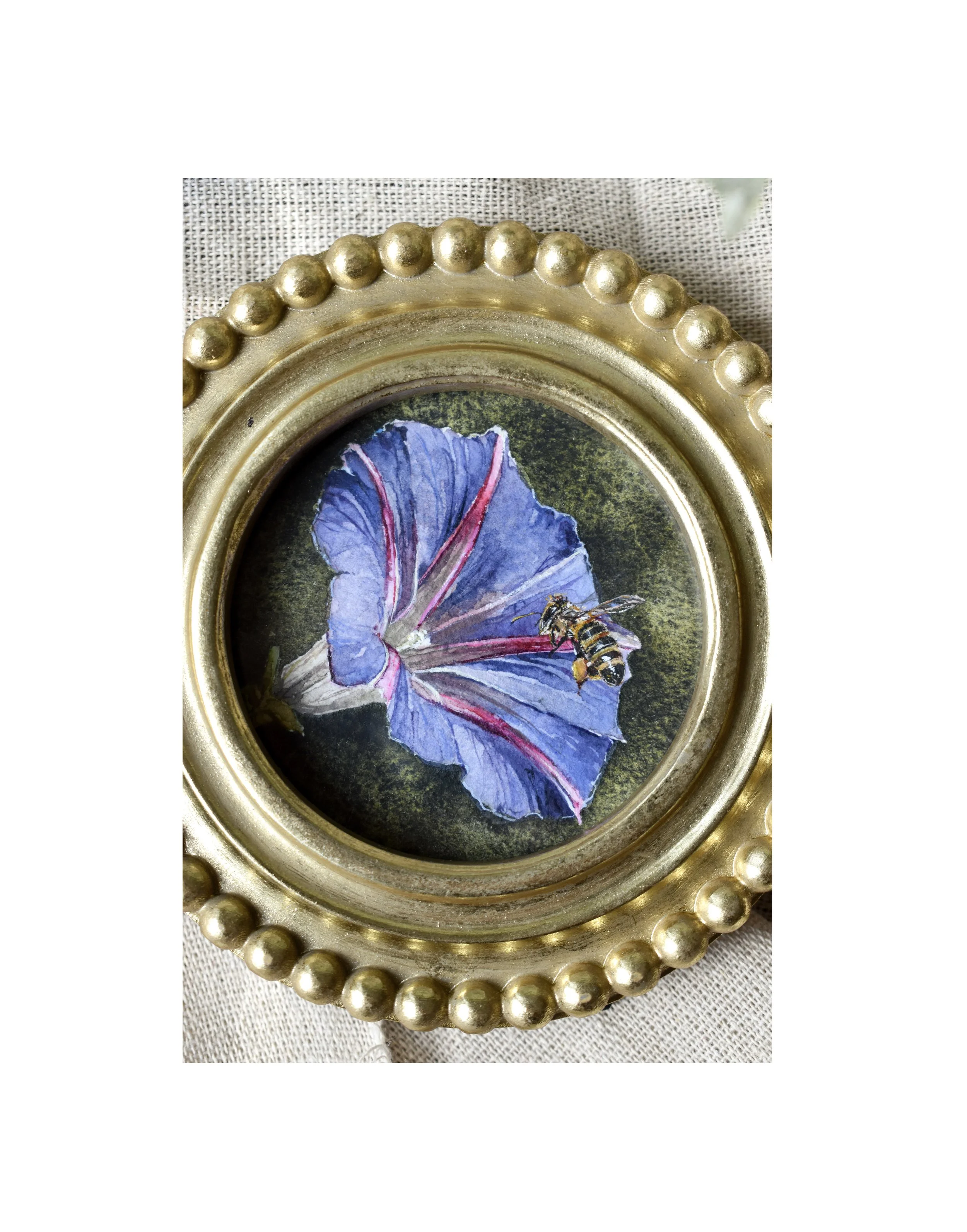 BUZZING MORNING GLORY I - Framed Original — KATHRYN ANN ART